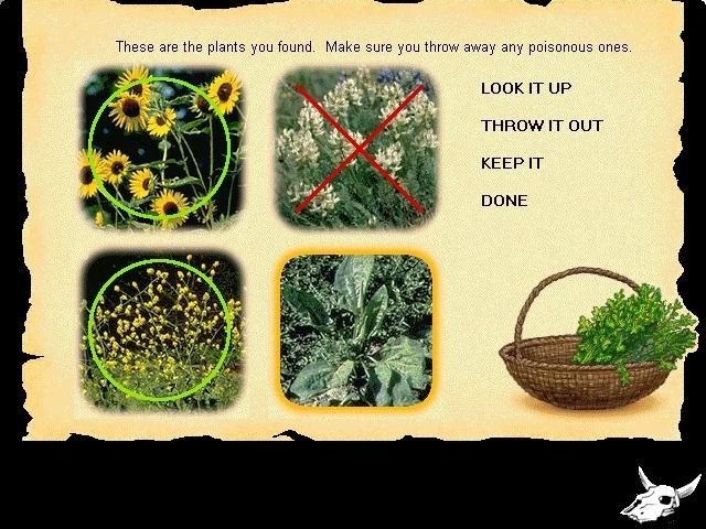 Gathering plants: four photographs of the plants you found, one of them crossed out. Make sure you throw away any poisonous ones. Look it up, throw it out, keep it, or done.