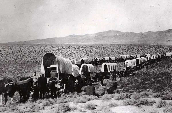 Oregon Trail Conestoga wagons